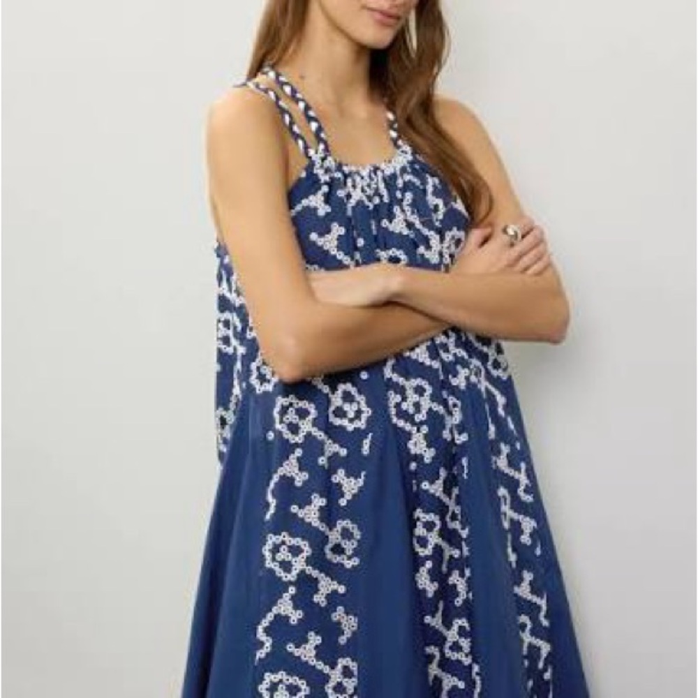 Chic Navy and White Maxi Dress